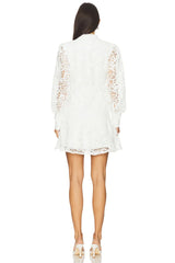 Remy Embroidered Mini Dress