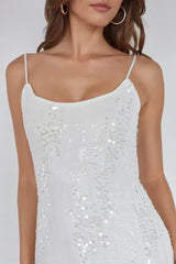 Valeria Velvet Sequin Mini Dress