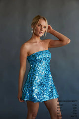 Sasha Sequin Skater Mini Dress