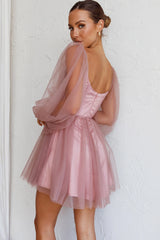 Fairytale Dream Sheer Sleeve Mini Dress Rose