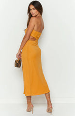 Luca Yellow Mesh Maxi Dress